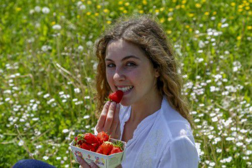 Wer noch Erdbeeren genießen will, muss sich beeilen. Alle anderen Früchtchen gibt es in Hülle und Fülle.