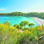 Abwechslungsreiche Natur auf Elba