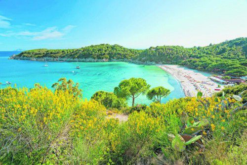 Wunderschöne Buchten mit Sandstränden und grüne Hügel auf Elba.