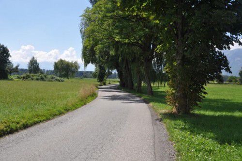 Ende des Monats soll die Einbahnregelung auf der Gemeindestraße Sickler in Kraft treten.