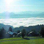 Eine weiße Decke aus dichtem Nebel