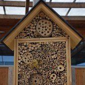 Insektenhotels für den eigenen Garten bauen