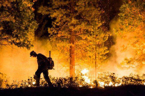 Insgesamt wüten derzeit mehr als 250 größere Wald- und Buschbrände in 17 Bundesstaaten. Zehntausende Feuerwehrleute sind im Einsatz.