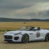 Jaguar auf Expansionskurs