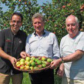„Obstbörse“ fördert Verwertung von Obst