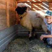 Ein neuer Kuschel-Liebling für den fünfjährigen Tobias