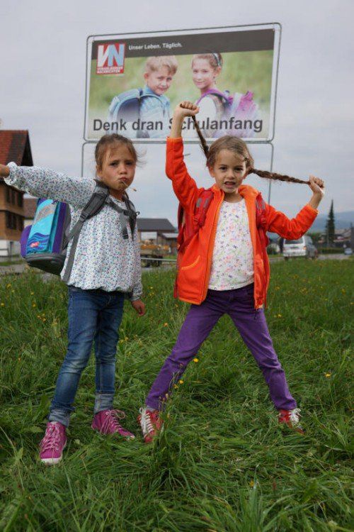 Auch die Vorarlberger Nachrichten mahnen mit ihren Tafeln im ganzen Land die Fahrzeuglenker zur besonderen Vorsicht.