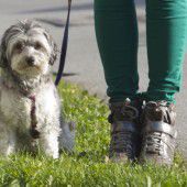 Test für Hund und Halter