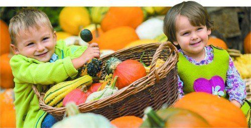 Bei Beeren Winder in Dornbirn gibt es viel zu erleben. Maximilian und Anna sind begeistert von der Vielfalt der Kürbisse.
