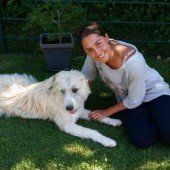 Champi sucht neues Zuhause