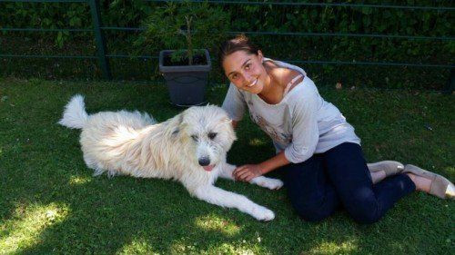 Champi und seine Retterin Tamira Paszek sind Freunde fürs Leben.