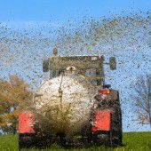 24 Millionen Euro für Vorarlbergs Bauern
