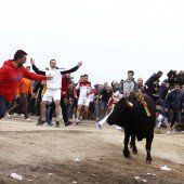 Spanien veranstaltet traditionelle Stierhatz