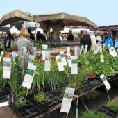 Schönes für den Garten