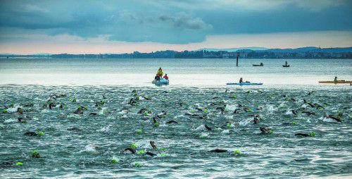 Mit 1,2 Kilometer Schwimmen im Bodensee wurde der Trans Vorarlberg Triathlon eröffnet. Zahlreiche Sportfans feuerten die Sportler um acht Uhr morgens im Strandbad an.