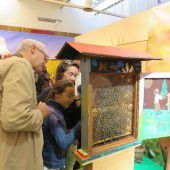 Die Bühne für die Bienen