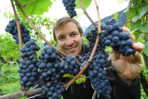 Zeigt her eure Weintrauben: Christoph Fulterer produziert heuer einen Rotwein.
