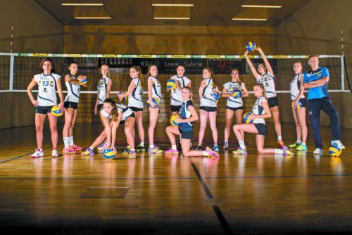 Auf das Fohlenteam des VC Raiffeisen Dornbirn wartet eine Saison mit vielen Fragezeichen: Mit einem Altersdurchschnitt von 22 Jahren ist man das jüngste Team in der 2. Volleyball-Bundesliga.