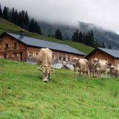 Dank an die Bauern