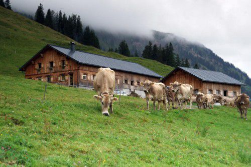Der Arbeitsplatz der Bauern ist für viele Menschen Erholungsraum.