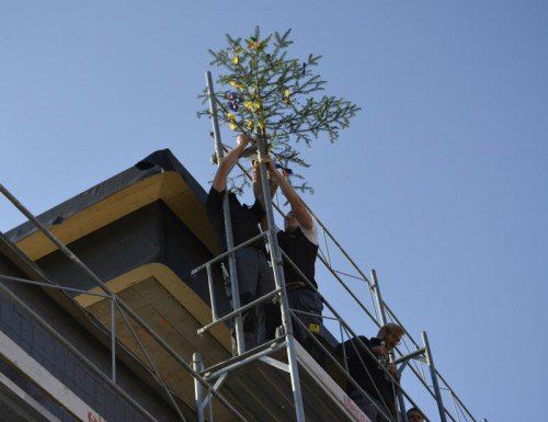 Der Firstbaum schmückt das Dach am vorderen Gebäude.