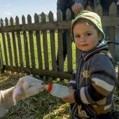 Die Freunde der Kinder