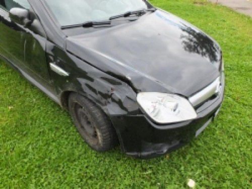 Der Pkw stieß frontal gegen die Kühe.