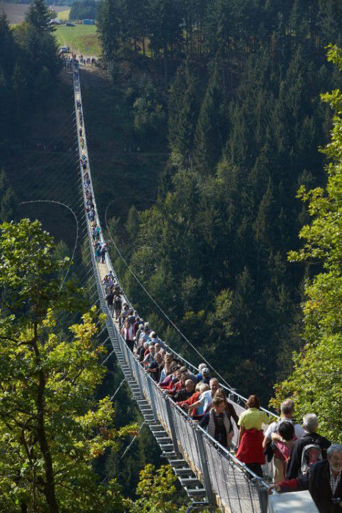 Die Geierlay-Brücke spannt sich über ein Seitental der Mosel.