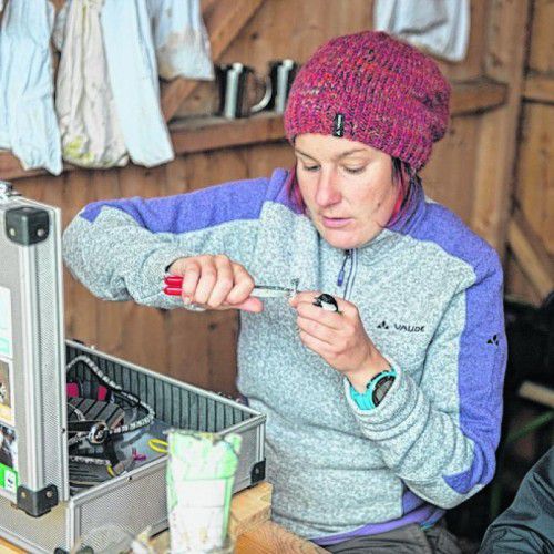 Die Wildvögel werden mit nummerierten Fußringen markiert.