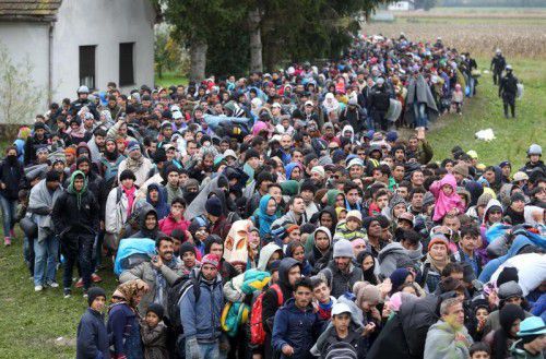 Drama Balkanroute: Tagtäglich befinden sich Tausende Flüchtlinge auf ihrem Weg durch Slowenien in Richtung österreichische Grenze.