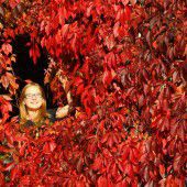 Der Herbst von seiner schönsten Seite