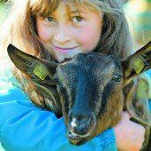Ein großes Volksfest für Tausende Tierfreunde