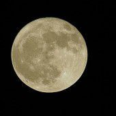 Die Anwendung des Mond-Kalenders