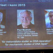 Chemie-Nobelpreis für drei Erbgut-Forscher