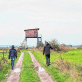Auf Safari am Neusiedler See