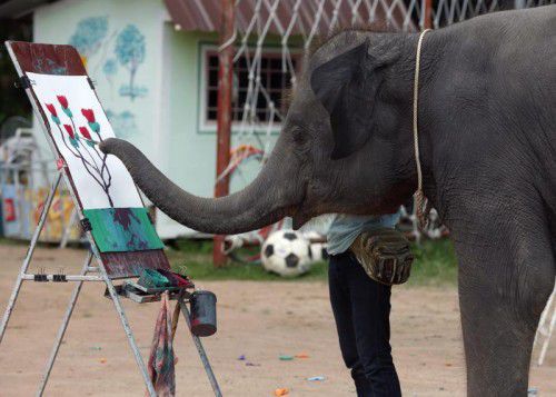 Die Elefanten in Ban Ta Kang malen für die Touristen Bilder oder werfen Darpfeile. Tierquälerei sagen die einen, gelebter Artenschutz die anderen.