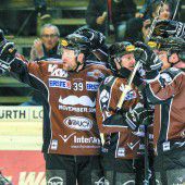 Bulldogs ohne Makel
