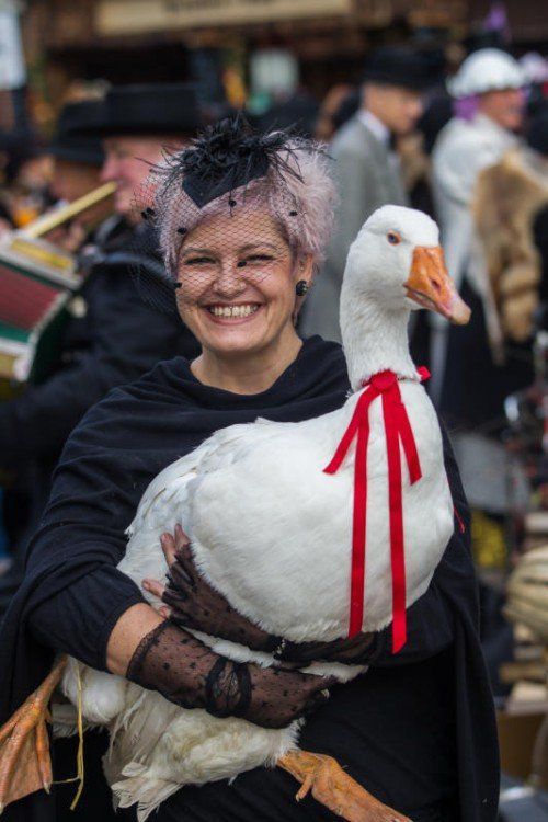 Galt als "Star" bei Dornbirns Martinimarkt: die Gans Eduard.
