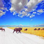 Die Suche nach den Big Five