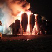 100 Rinder sterben bei Großbrand