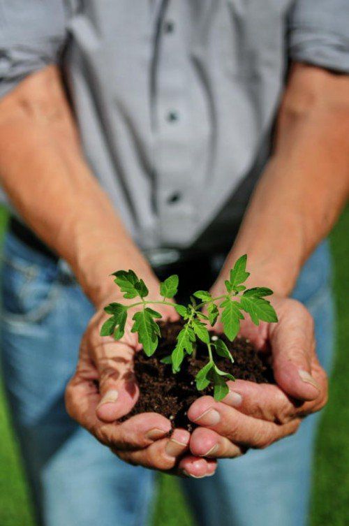 Vorarlberger Unternehmen haben sich für weiterreichende Maßnahmen für den Klimaschutz zusammengetan.
