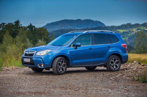 Abstecher ins Gelände: Der robuste Subaru Forester meistert solche Aufgaben mit Bravour.