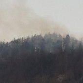 Waldbrand in Götzis führte zu Großeinsatz