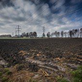 Rhesi und die Landwirtschaft