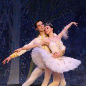 „Ballett ist unsere Leidenschaft“