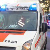 Kutsche kippt um: Fünf Verletzte in Koblach