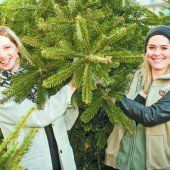 Letztes Rennen um den schönsten Weihnachtsbaum