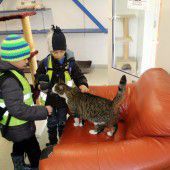 Kinder erlebten Hunde, Katzen  und Co. hautnah