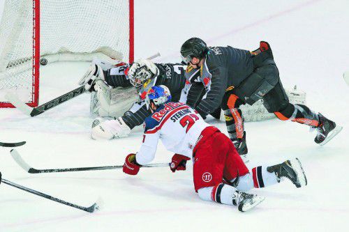 Die Dornbirner David Madlener und Andrew MacKenzie sind gegen den dreifachen Salzburg-Torschützen in Not.