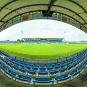 Englischer Rasen in der Altach-Arena